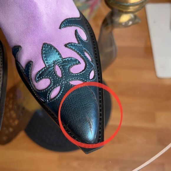 Free People Toral - Firecracker Western Cowboy Boots - Picture 6 of 8